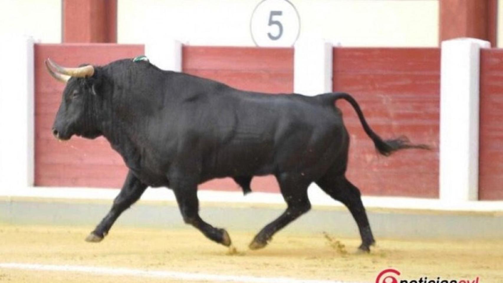 Castilla y León