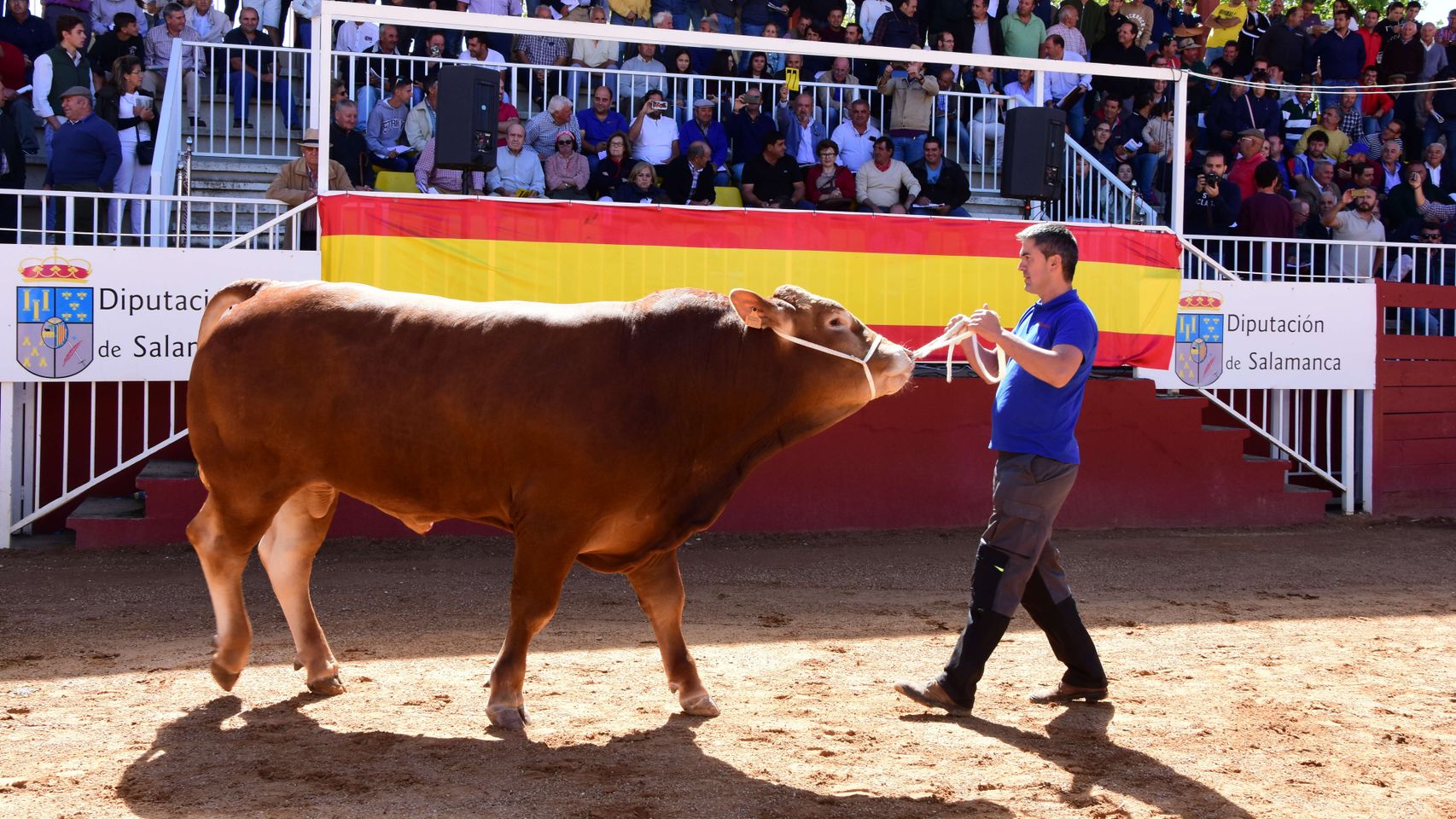 Castilla y León
