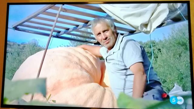 Zamora fermoselle calabaza gigante telecinco