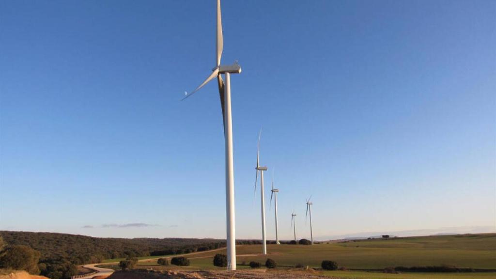 Un parque eólico.