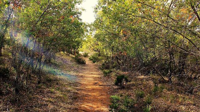 FOTO: Ayuntamiento de Yebes.