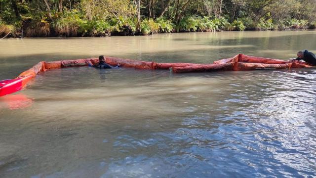 Instalación de barreras en el río Eume.