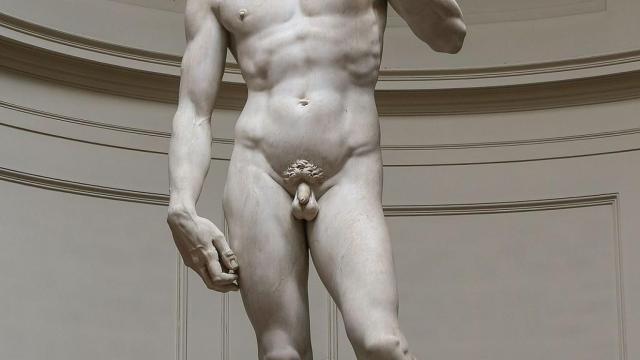 El David de Miguel Ángel.