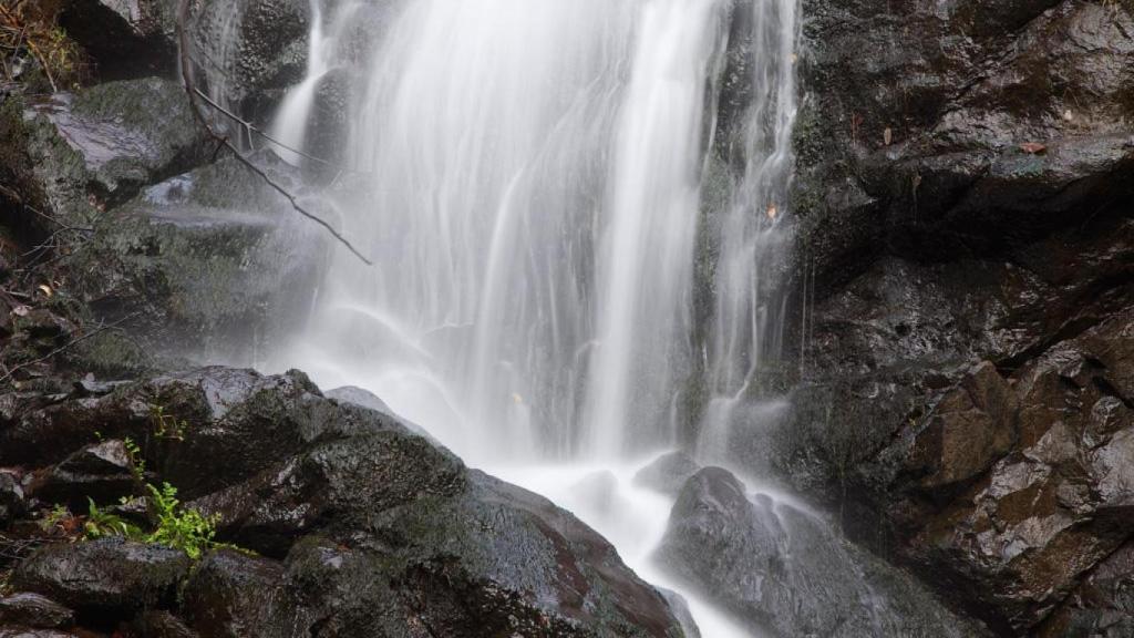 Fervenza de Ramil en Rus.