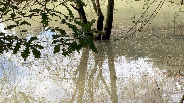 Vertido en el río Eume, a su paso por las Fragas, en Pontedeume.