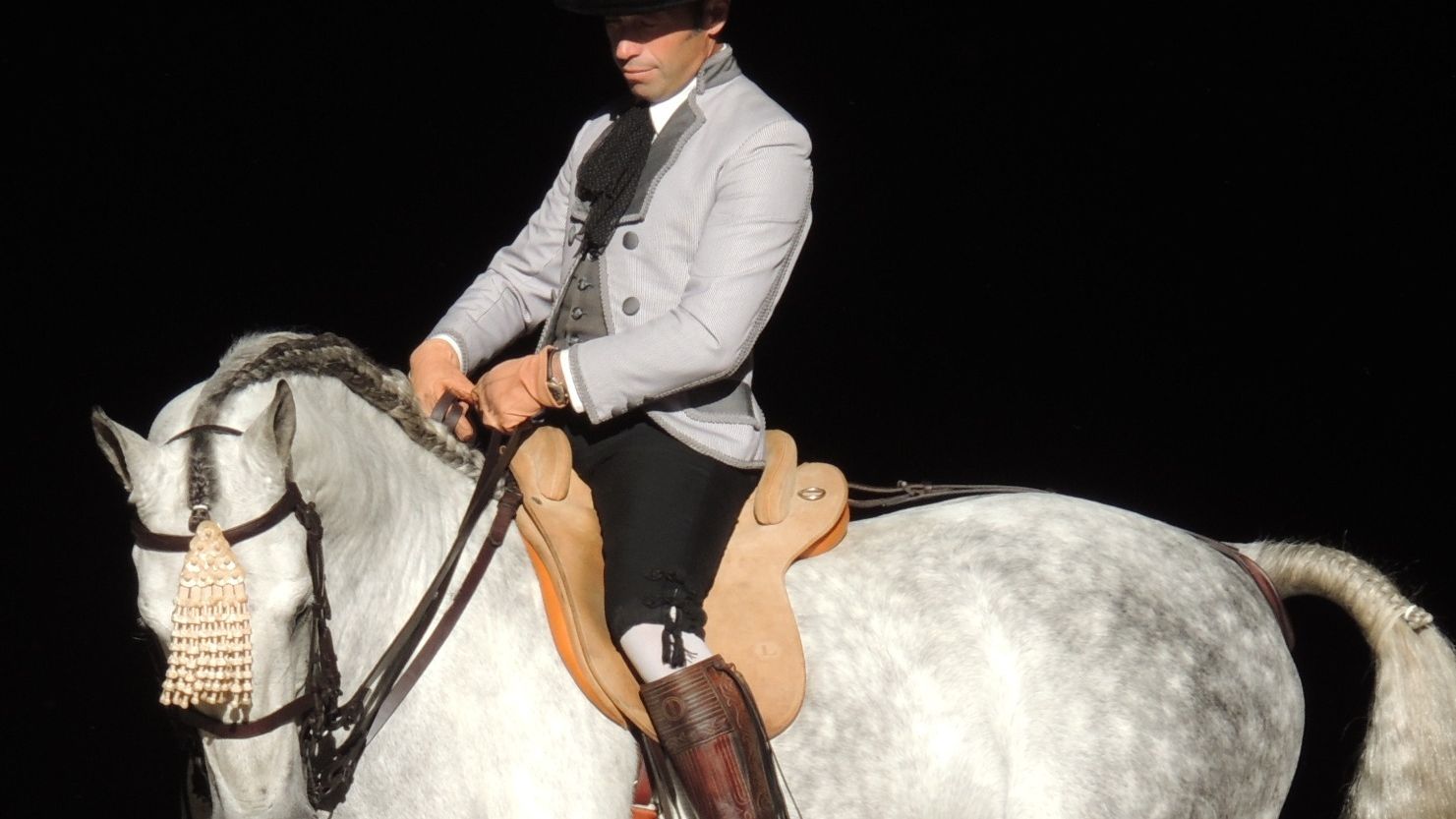 Un caballo de pura raza española en una imagen de archivo.