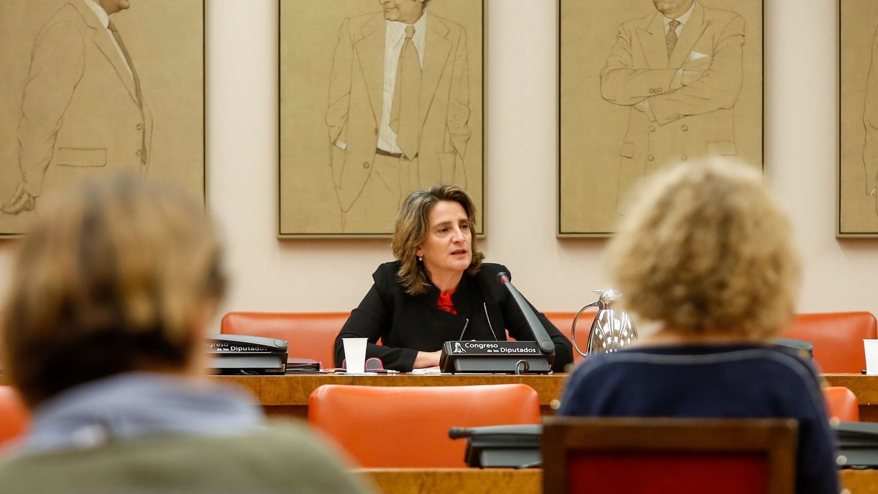 La ministra de Transición Ecológica, Teresa Ribera, en una comparecencia en el Congreso.