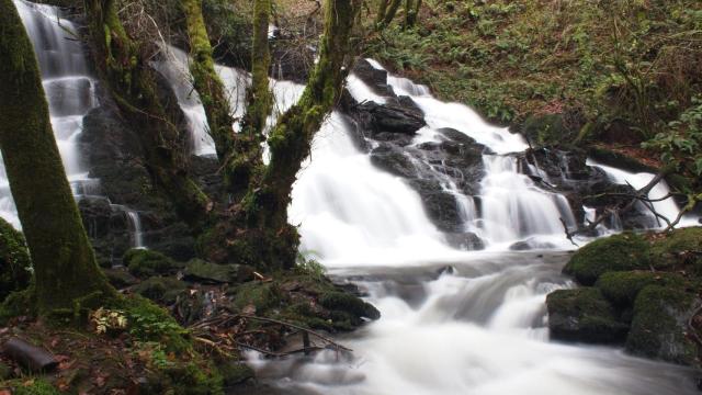 Una cascada en Curtis