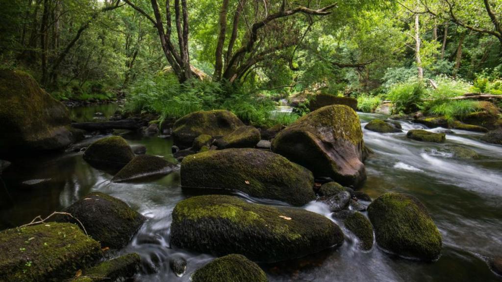 Reserva Terras do Mandeo  galicianaturaleunica.xunta.gal