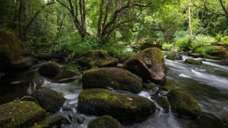 Reserva Terras do Mandeo  galicianaturaleunica.xunta.gal