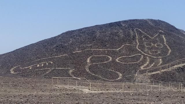 Nuevo geoglifo representa la figura de un gato de unos 37 metros.