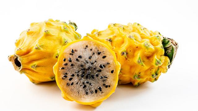 Pitahaya Amarilla o Fruta del Dragón (OCU)
