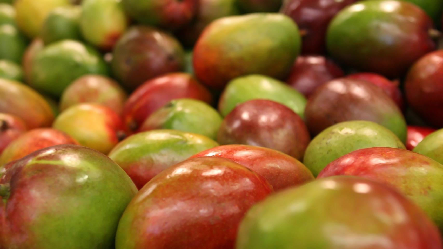 Varios mangos apilados.