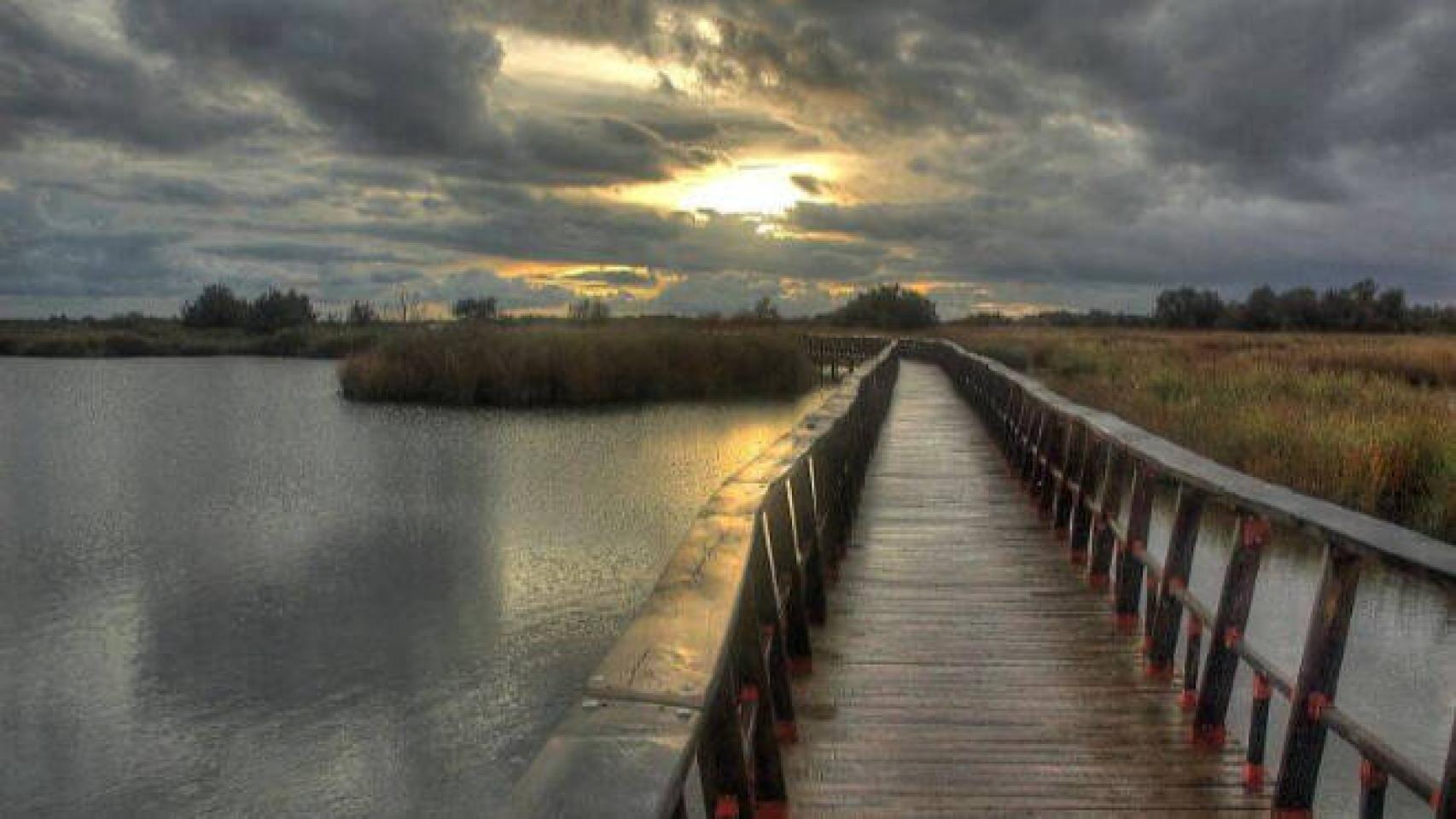 Tablas de Daimiel. Imagen de archivo