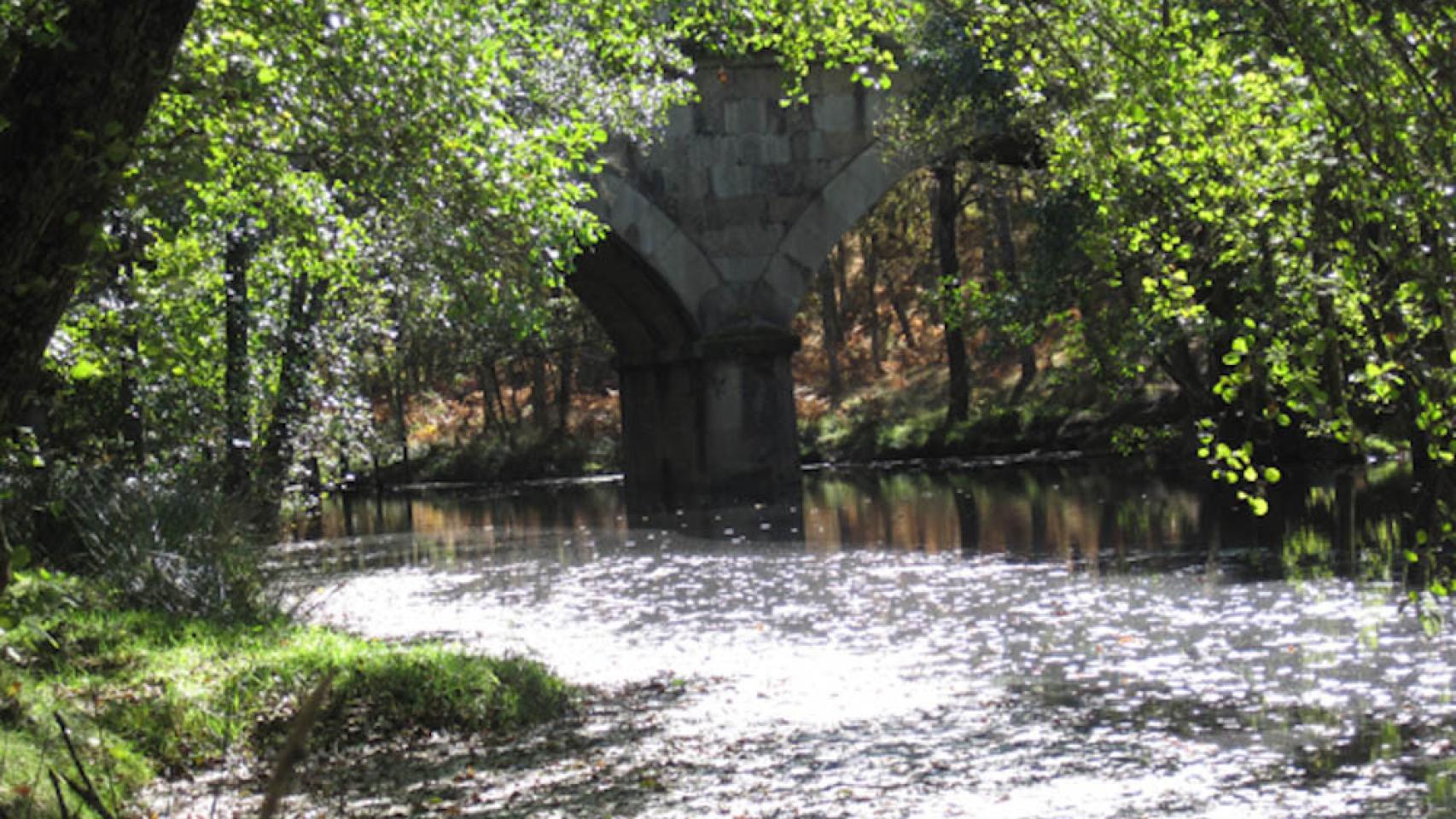 Robleda y Villasrubias, paseo por El Rebollar (Salamanca) 1