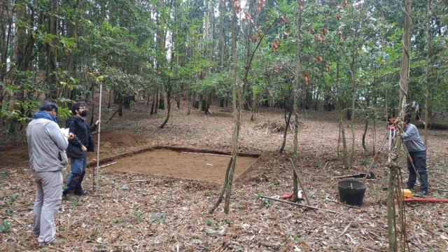 Trabajos arqueológicos en el castro de Cerneda