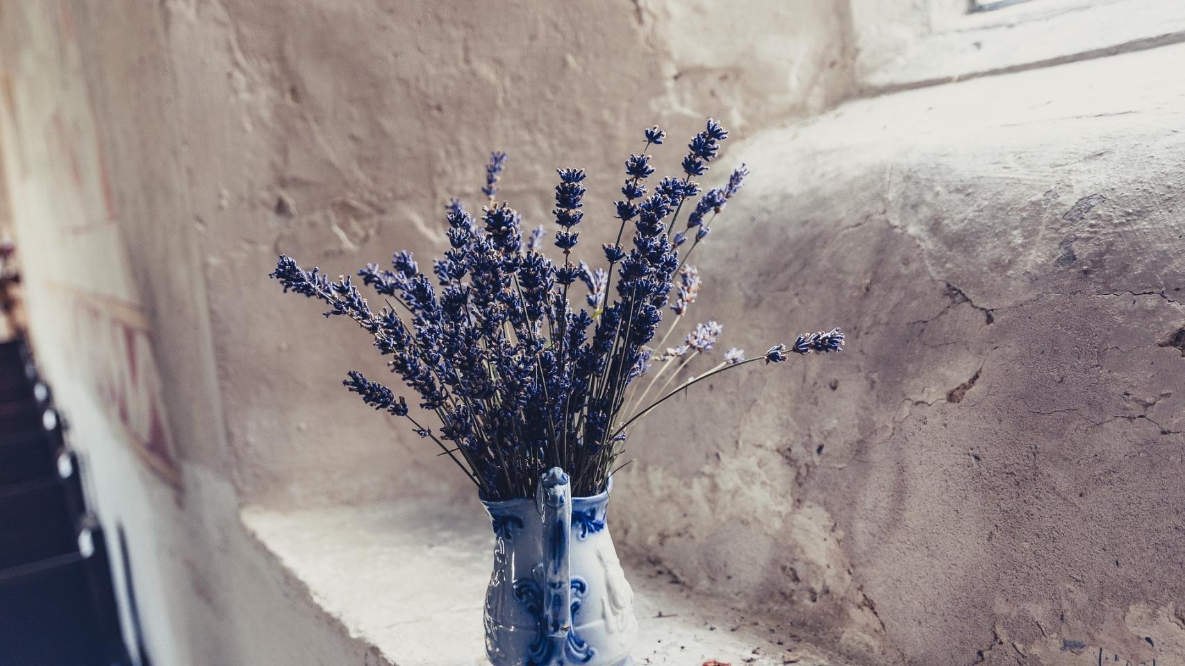 Estas son las 10 flores más bonitas para tu hogar