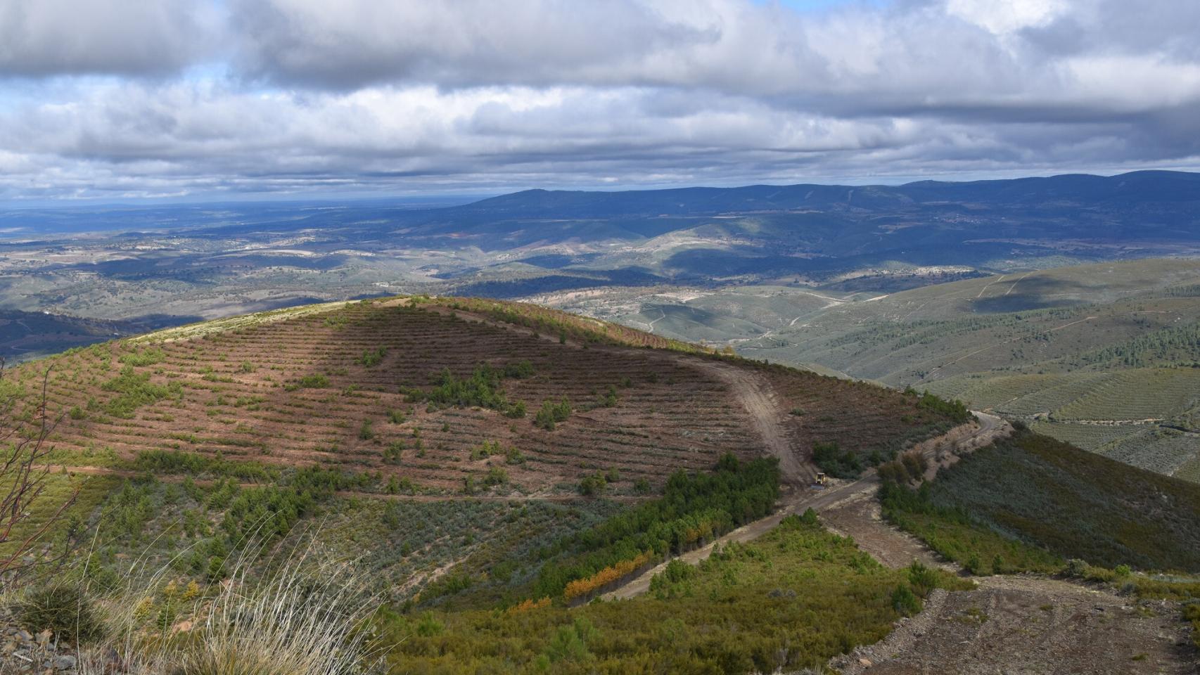Castilla y León