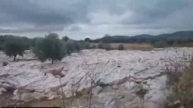 Captura de pantalla del vídeo de Álvaro Nieto (Twitter)