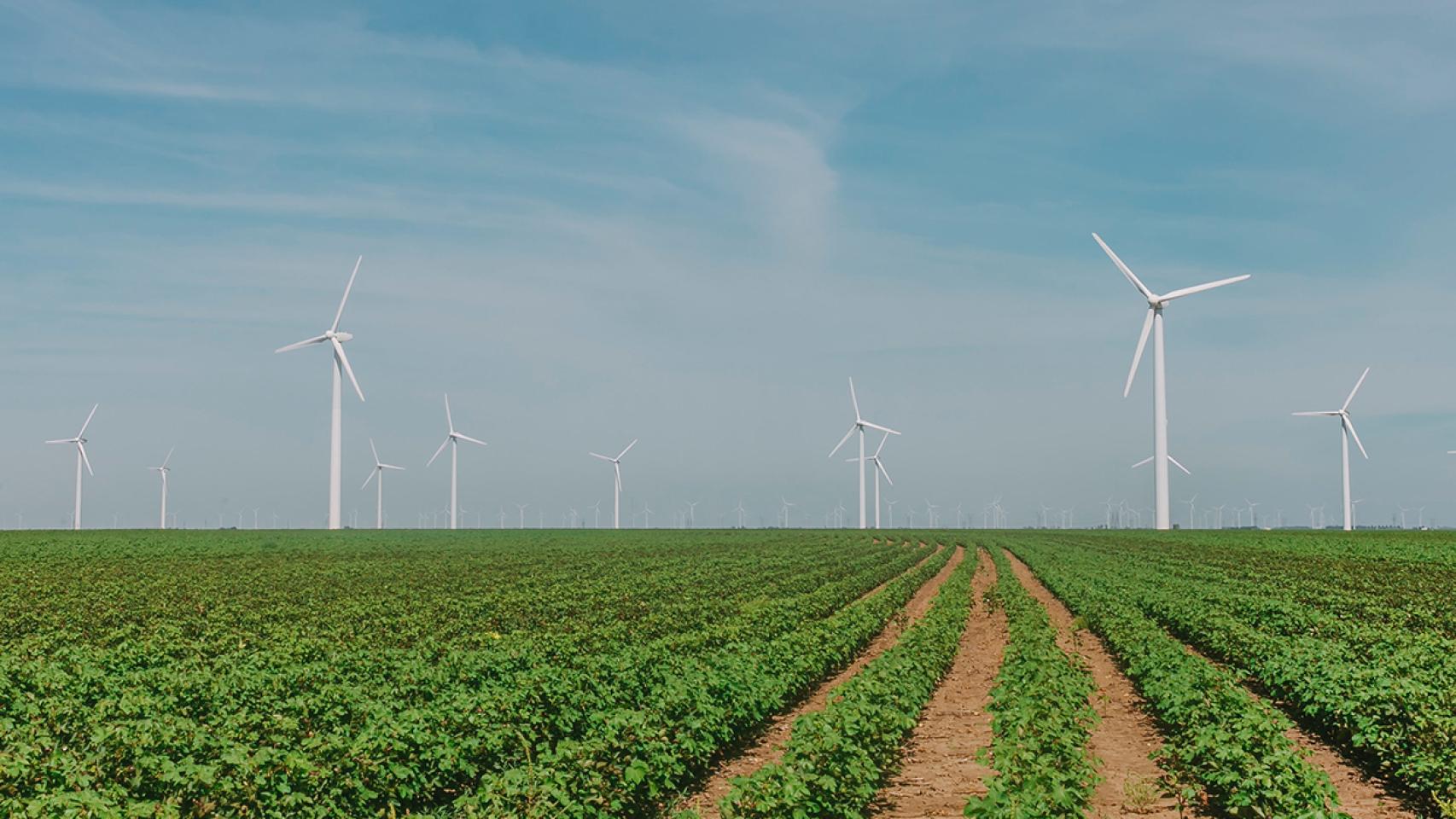 La transparencia en el mercado de las renovables, necesaria para cumplir los objetivos climáticos