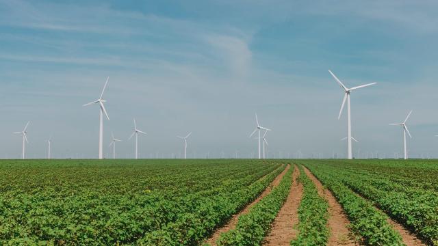 La transparencia en el mercado de las renovables, necesaria para cumplir los objetivos climáticos