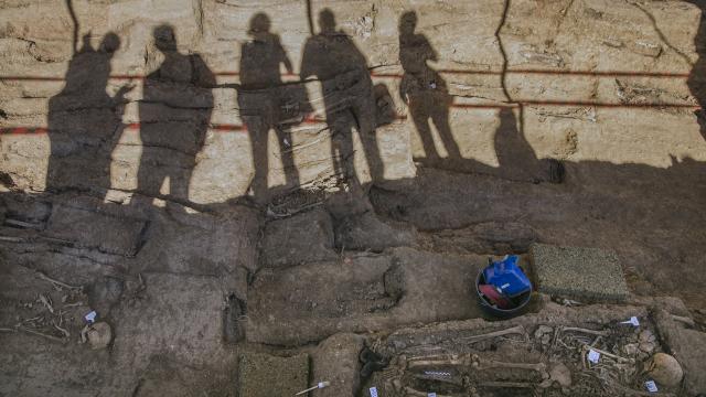 Trabajos de exhumación de la fosa común de Pico Reja, ubicada en el cementerio de San Fernando.
