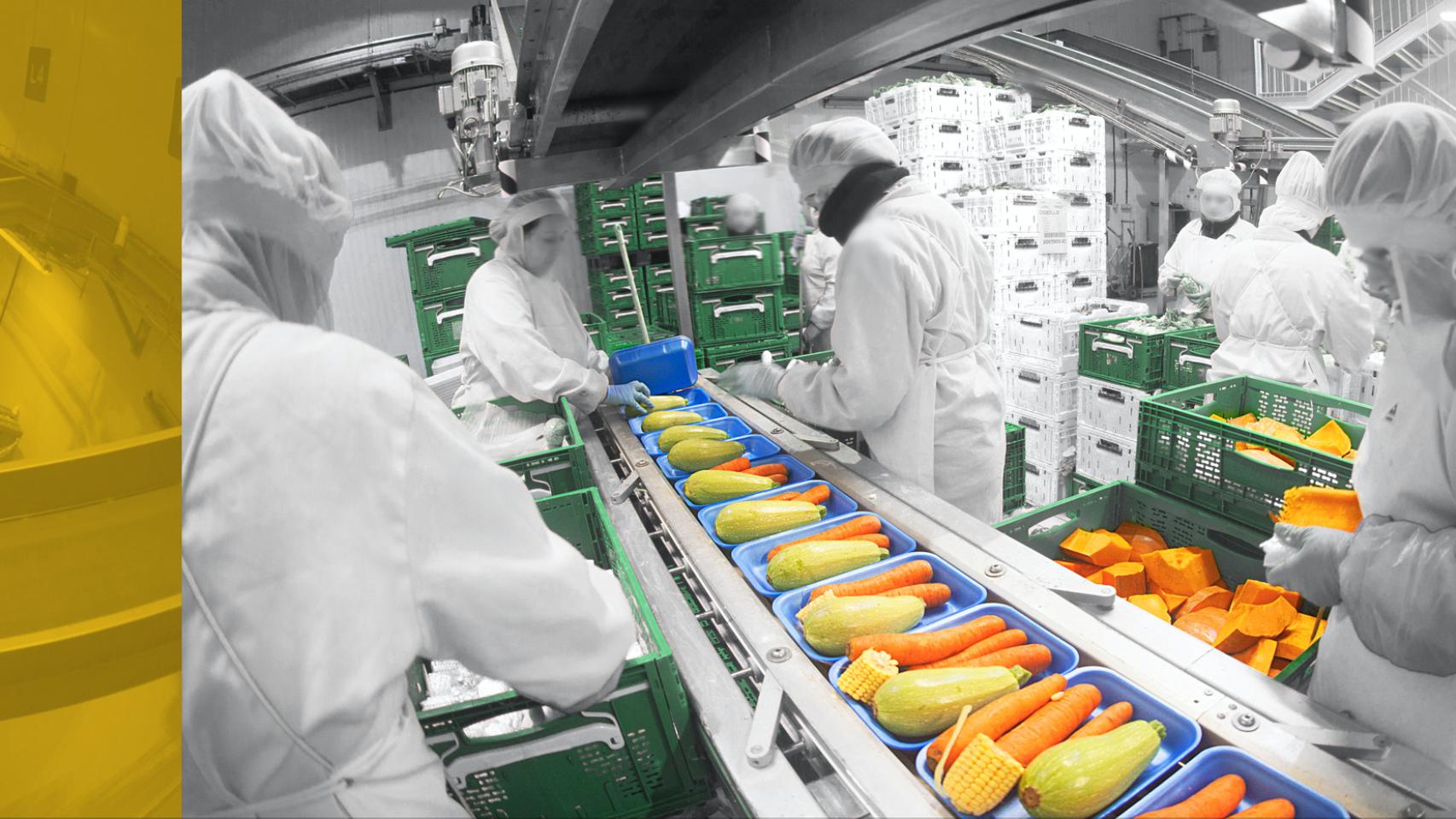 Operarios de SAT Canarisol, tratando los productos que comercia la empresa.