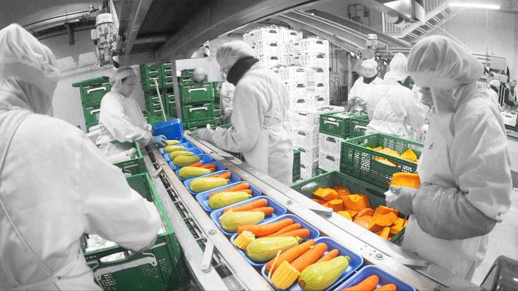 Operarios de SAT Canarisol, tratando los productos que comercia la empresa.