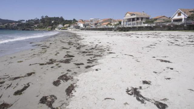 La Playa de la Madorra (Nigrán) es la playa de los ahogados de Domingo Villar.