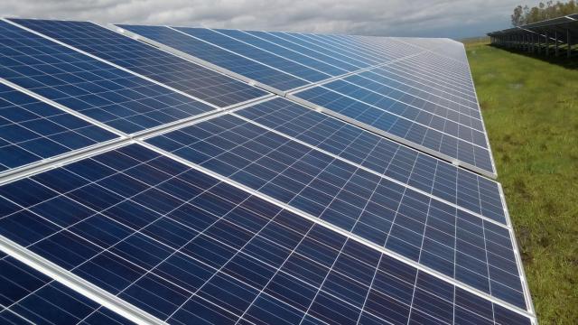 Una placa solar de la compañía en una planta de Uruguay.