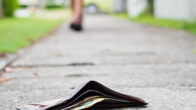 Dinero perdido cartera