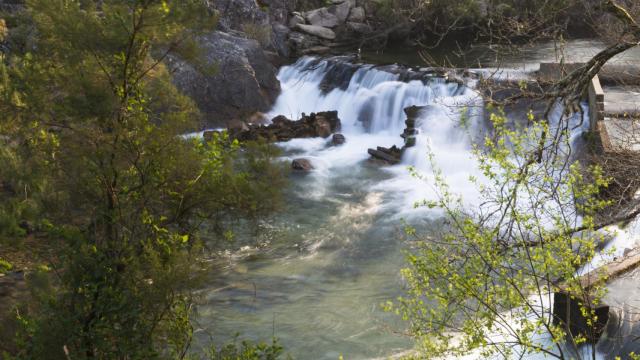 Imagen de archivo del caudal del río Lérez en Bora (Pontevedra).