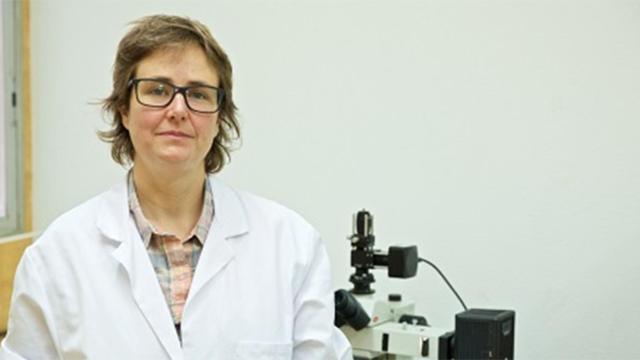 Reyes Calvo lidera el equipo de trabajo de la Universidad de Alicante del proyecto de investigación eProt.