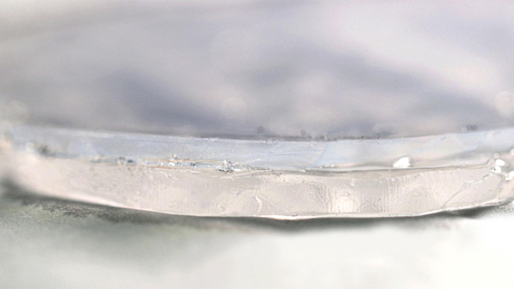 En primer plano lel material de dos capas, la superior es aerogel y la inferior hidrogel.