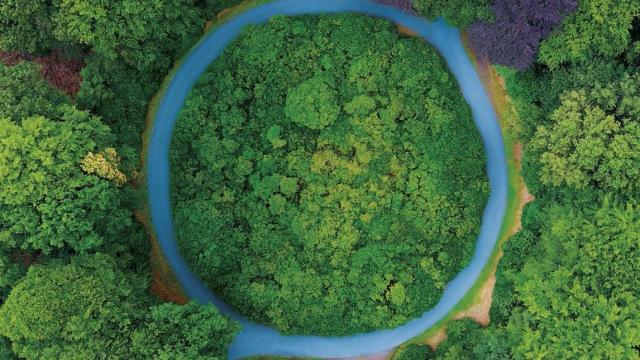 Economía circular, el último nicho de mercado en desarrollar para el sector energético