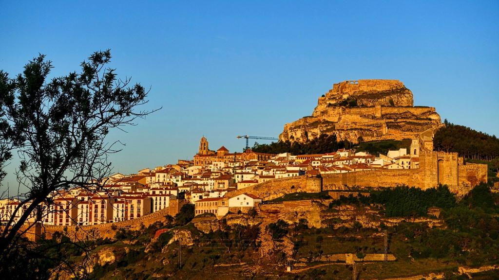 Morella.