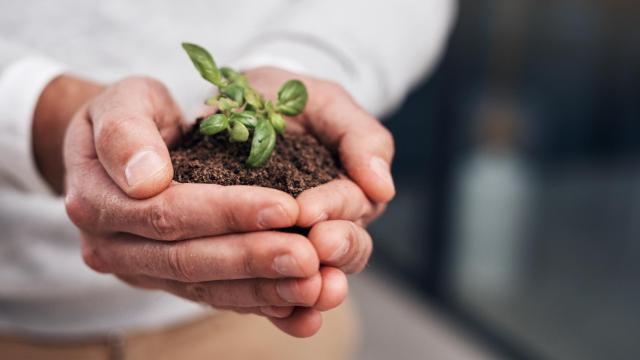 Finanzas sostenibles tras la Covid-19