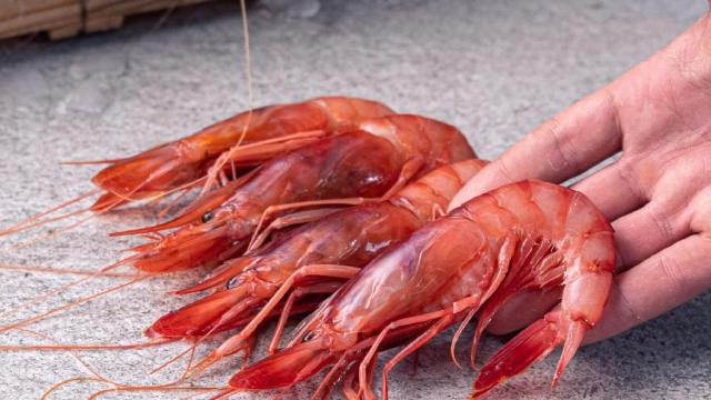 El sector pesquero se reinventa: se suma al ‘Black Friday’ con productos de alta gama