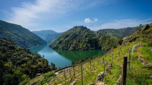 Ribeira Sacra