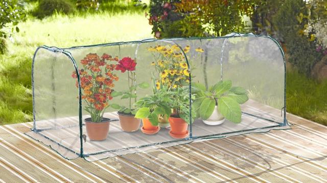 Cubre plantas antiheladas y otros trucos para proteger tu jardín del frío