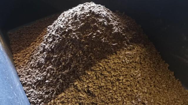 Esta biotech española desarrolla el alimento del futuro con la cría industrial de insectos