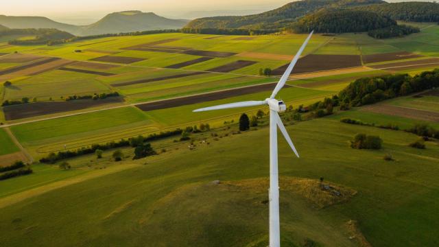 Descarbonización: las renovables abren el camino de la transición energética