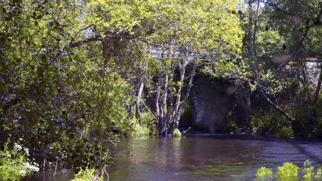 Ponte da Mercede en Palas de Rei
