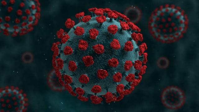 Innovación e Investigación: Claves para el tratamiento del VIH