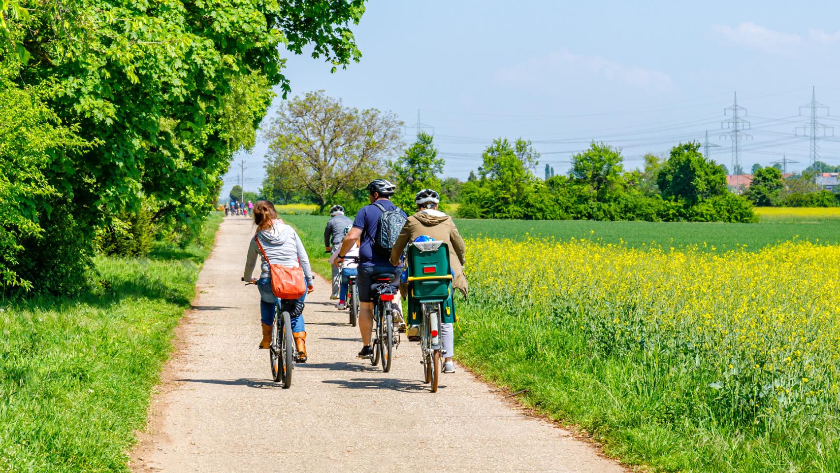 bici familia