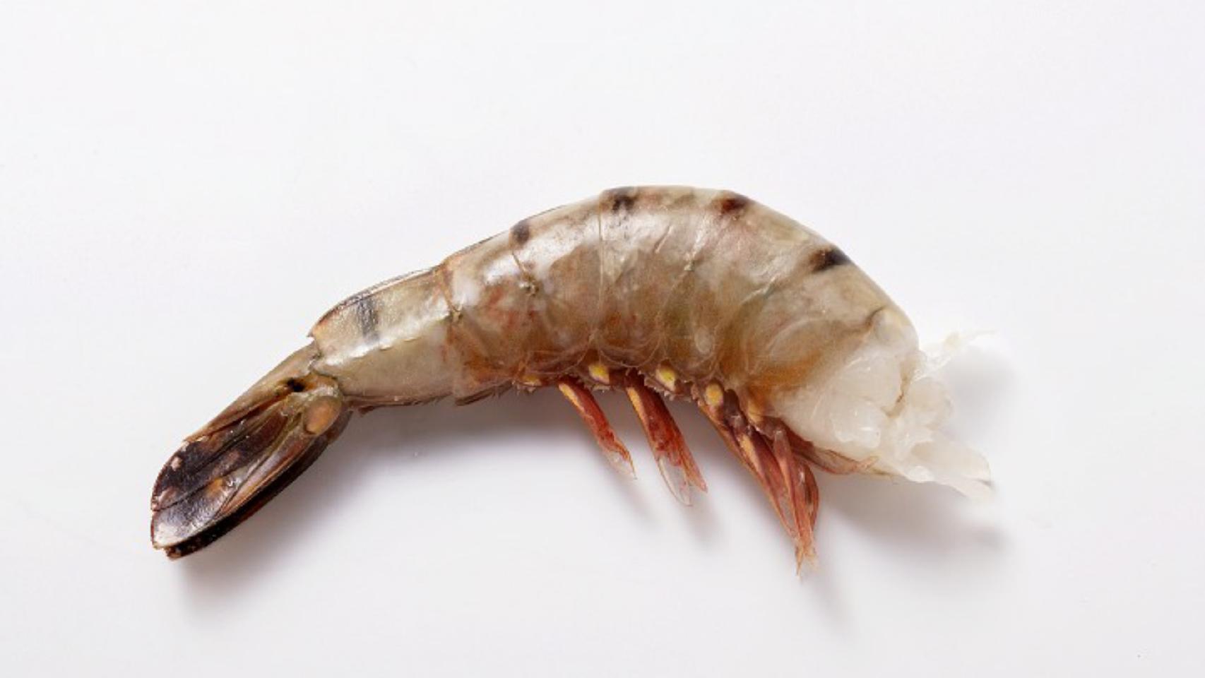 Langostino crudo y sin cabeza.