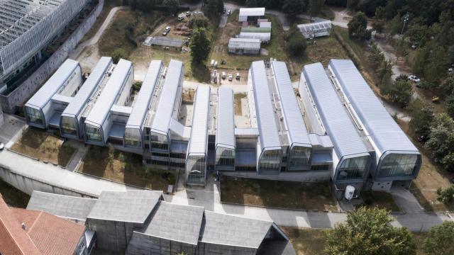 Centro de Investigación Biomédica de la Universidad de Vigo.