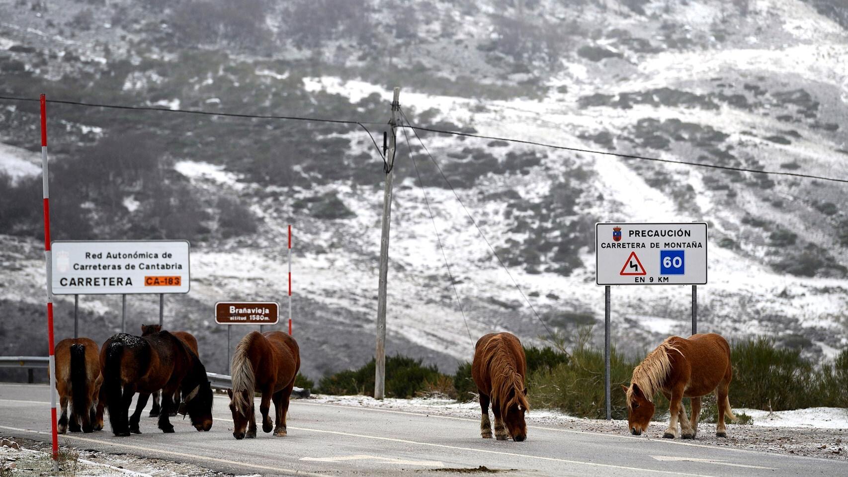 Nieve en la localidad cántabra de Brañavieja. EFE/Pedro Puente Hoyos