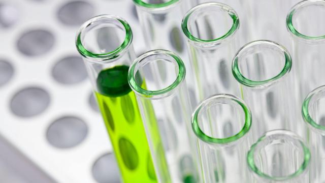 Tubos de ensayo para investigación biomédica.