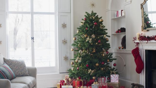 ¿Qué árbol de Navidad prefieres? Elije el perfecto para ti